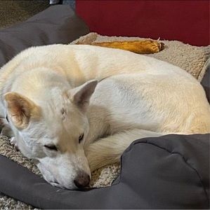 Meet your Posher, Kathleen